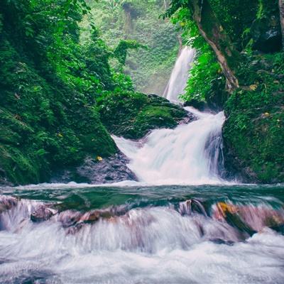 灌篮高手手游九游版下载